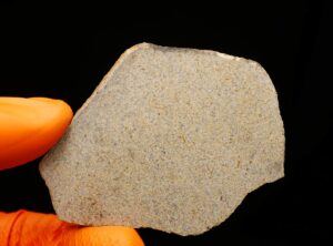 NWA 16056 (20.50 gram)