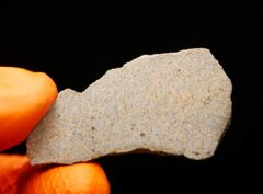 NWA 16056 (9.70 gram) endpiece
