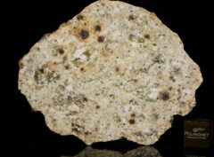 NWA 14874 (16.87 gram)