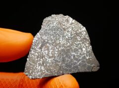 NWA 15878 (12.64 gram)