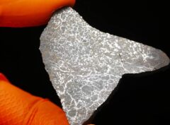 NWA 15878 (14.02 gram)