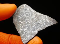 NWA 15878 (13.64 gram)