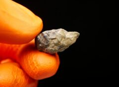 LUNAR TROCTOLITE (2.58 gram) complete