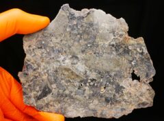 LUNAR TROCTOLITE (74.17 gram)