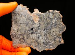 LUNAR TROCTOLITE (45.81 gram)