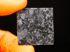 MASLYANINO (17.60 gram)