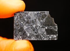 MASLYANINO (10.13 gram)