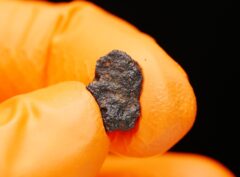 OUED NAMOUS 001 (0.609 gram)