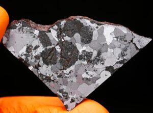NWA 5549 (24.66 gram)