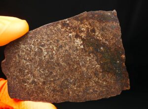 NWA 16321 (30.88 gram)