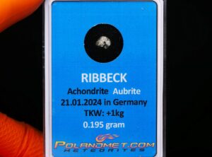 RIBBECK (0.195 gram)