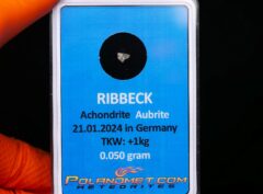 RIBBECK (0.050 gram)