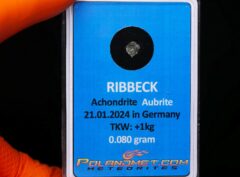 RIBBECK (0.080 gram)