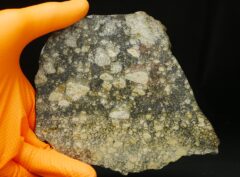NWA 15923 (164.42 gram)