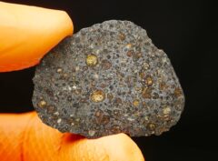 NWA 16839 (18.85 gram)