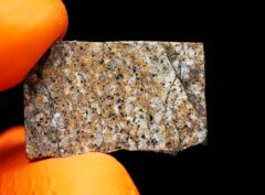 PEEKSKILL (1.513 gram)