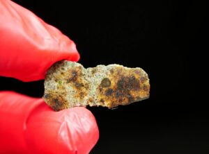 NWA 8251 (2.16 gram)