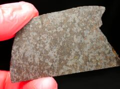 NWA 11639 (18.97 gram)