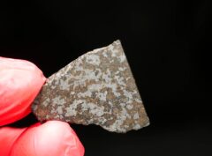 NWA 11639 (4.20 gram)