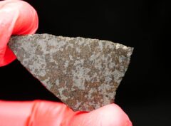 NWA 11639 (5.61 gram)