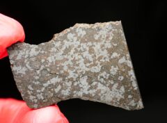 NWA 11639 (8.11 gram)