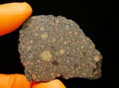 NWA 15897 (18.54 gram)