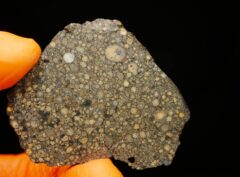 NWA 15897 (13.02 gram)