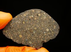 NWA 15897 (11.63 gram)