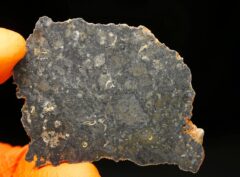 Lahmada 020 (4.77 gram)