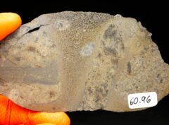 JIKHARRA 001 (60.96 gram) BUBBLES