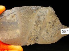 JIKHARRA 001 (56.13 gram) BUBBLES