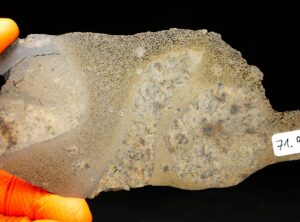 JIKHARRA 001 (71.90 gram) BUBBLES