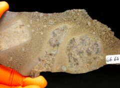 JIKHARRA 001 (66.64 gram) BUBBLES