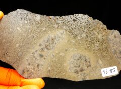 JIKHARRA 001 (82.85 gram) BUBBLES
