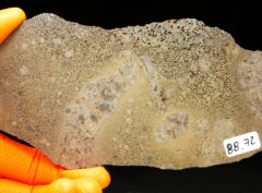 JIKHARRA 001 (88.72 gram) BUBBLES