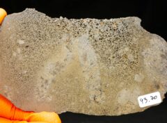 JIKHARRA 001 (93.70 gram) BUBBLES