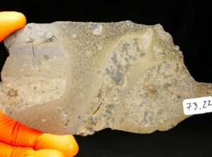 JIKHARRA 001 (73.22 gram) BUBBLES