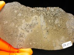 JIKHARRA 001 (89.02 gram) BUBBLES