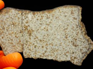 NWA 8756 (42.05 gram)