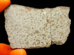 NWA 8756 (39.85 gram)