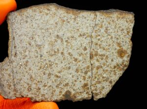 NWA 8756 (46.13 gram)