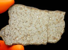 NWA 8756 (44.07 gram)