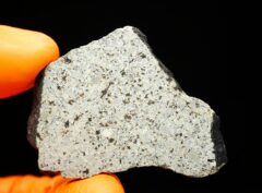 HAMMADAH AL HAMRA 346 (11.80 gram)