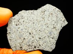 HAMMADAH AL HAMRA 346 (15.82 gram)