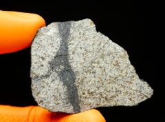 HAMMADAH AL HAMRA 346 (46.48 gram) endpiece