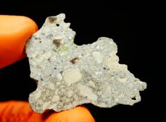 NWA 15717 “DUNITE” (16.34 gram) endpiece