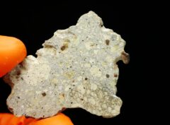 NWA 15717 “DUNITE” (8.10 gram)