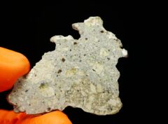 NWA 15717 “DUNITE” (6.68 gram)