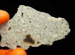 NWA 15717 “DUNITE” (9.98 gram)