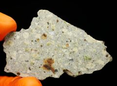 NWA 15717 “DUNITE” (9.05 gram)